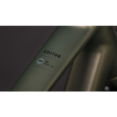 Cube Editor ONE FE reedgreen´n´black 2026 - RH 54 cm