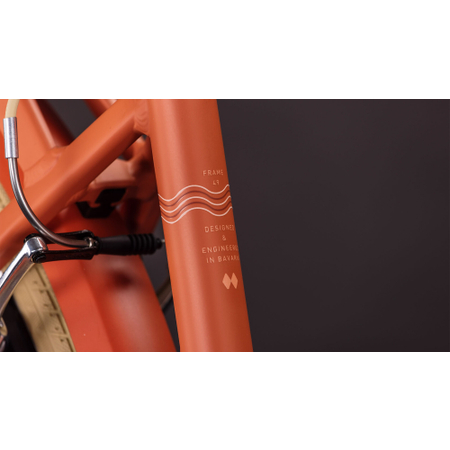 Cube Aruba papaya´n´creme 2026 Easy Entry