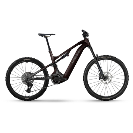 Haibike Allmtn CF 9 black platinum 2026