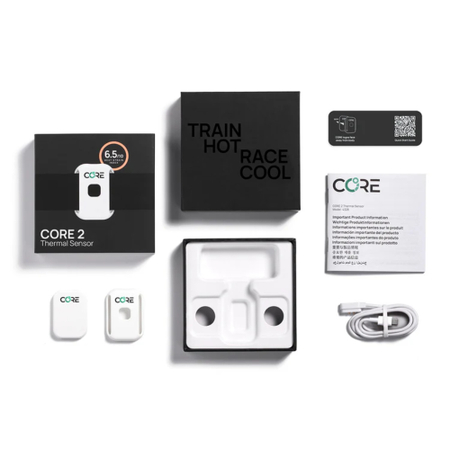 Core 2 Thermal Sensor