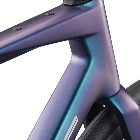 BMC Roadmachine 01 ONE chameleon petrol