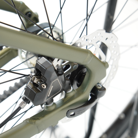 Cube Editor ONE reedgreen´n´black 2026 Trapeze - RH 46 cm Ausstellungsrad