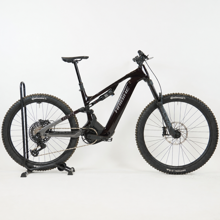 Haibike Allmtn CF 9 black platinum 2026 - RH-M Testrad