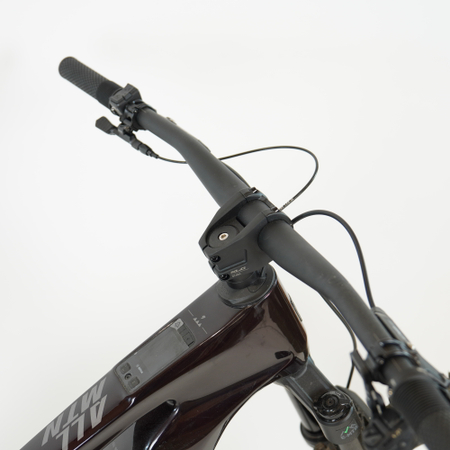 Haibike Allmtn CF 9 black platinum 2026 - RH-M Testrad
