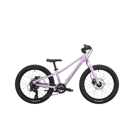 Scott Scale 200 petal purple