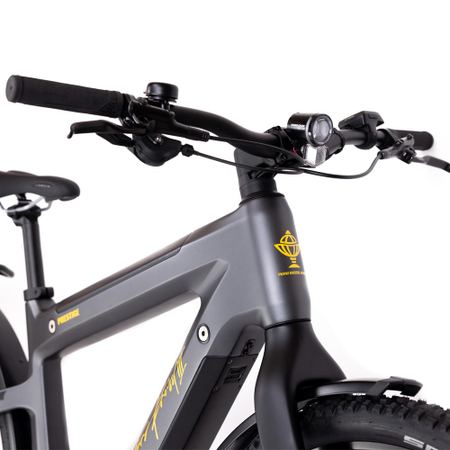 Kneissl Design Carbon Urban Prestige Men Black/Gold 2023 - RH 52 cm - Ausstellungsrad