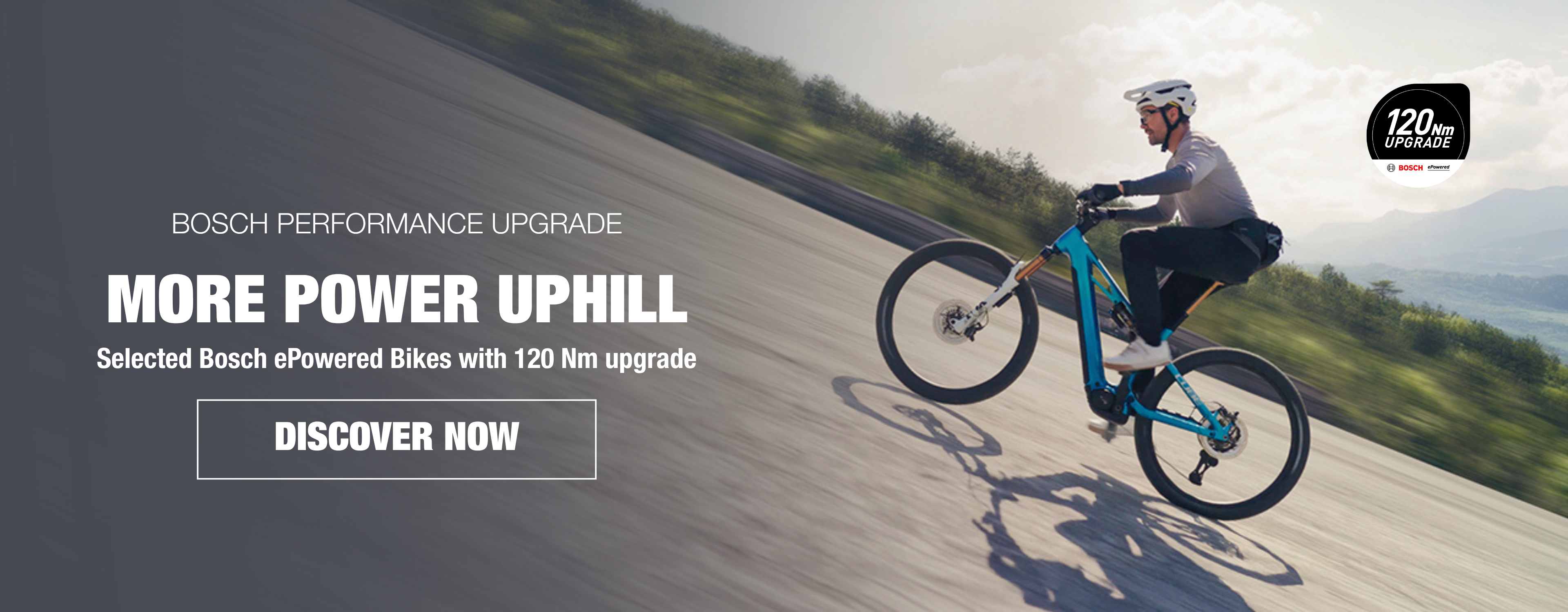 Bosch Performance Upgrade